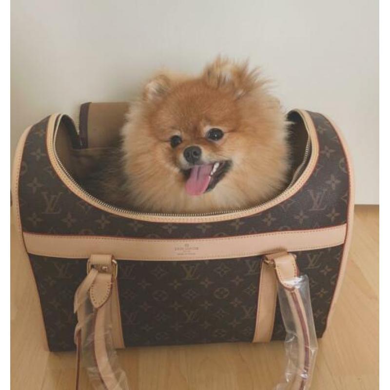 Hondentas / Dog carrier bag 40CM Louis Vuitton