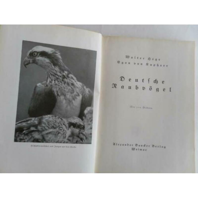 Roofvogels , Deutsche Raubvogel door Walter Hege e.a. , 1933