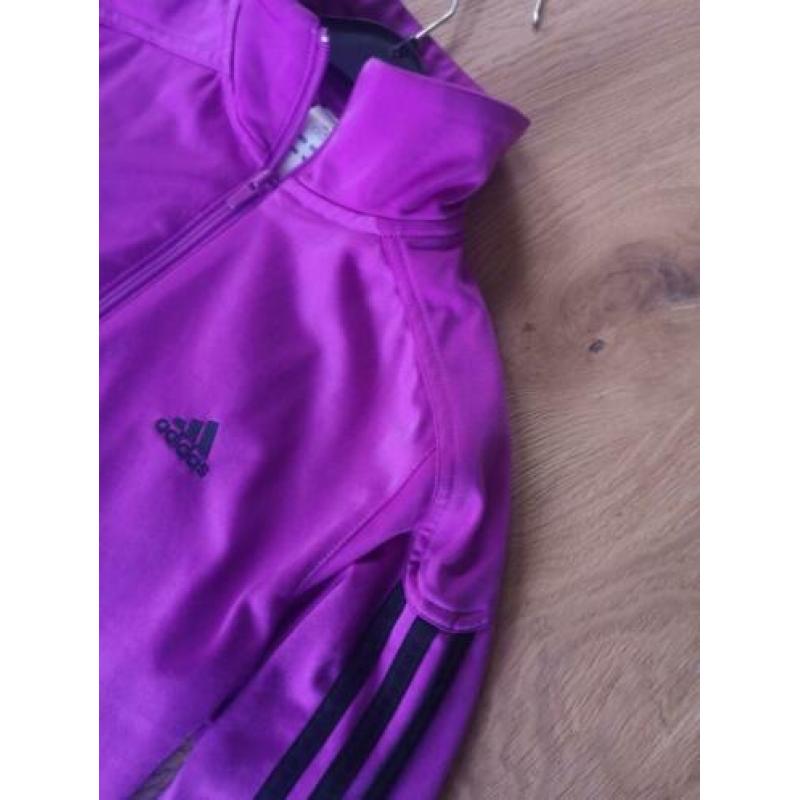 Waanzinnig mooie paarse jas van Adidas mt 38 mooie staat!