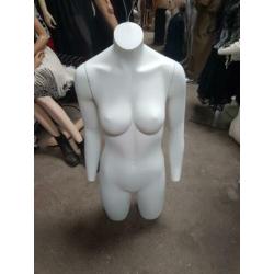paspop/buste/torso/lingerie display