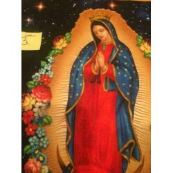 Heilige Maria Guadalupe heldere kleuren #3