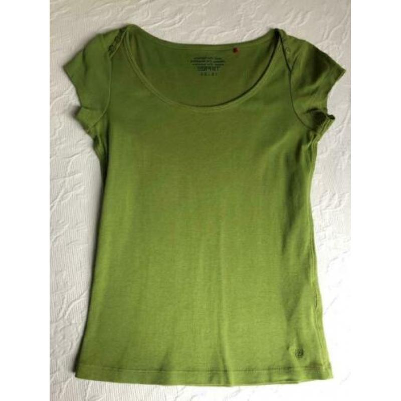 Nieuw t shirt shirt topje maat Esprit maat 34 Small groen