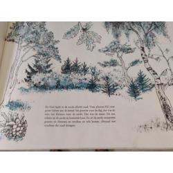 Antiek scheppingsverhaal boek 1962 met lithografie Fritz Hug