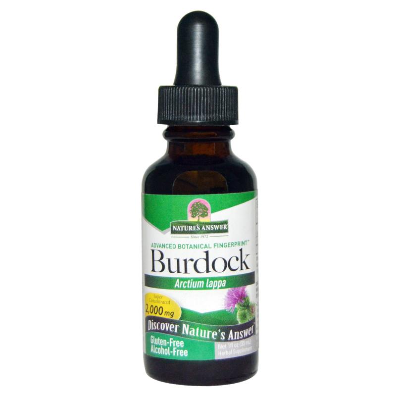 Burdock, Alcohol Free, 2000 mg (30 ml) Nature apos s Answer Natures Answer